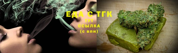 стаф Корсаков