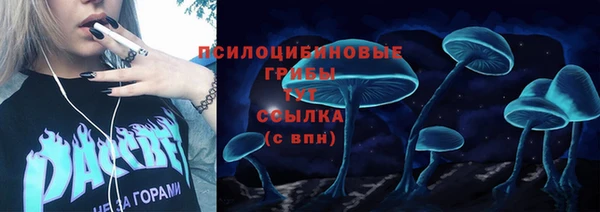тгк Коряжма