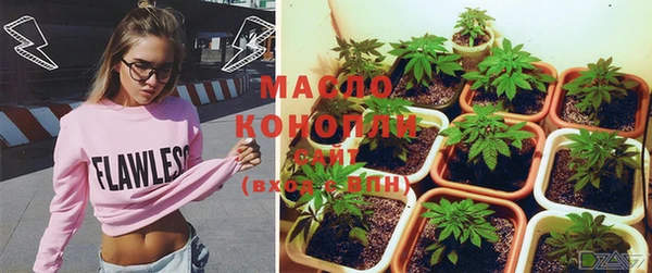 стаф Корсаков