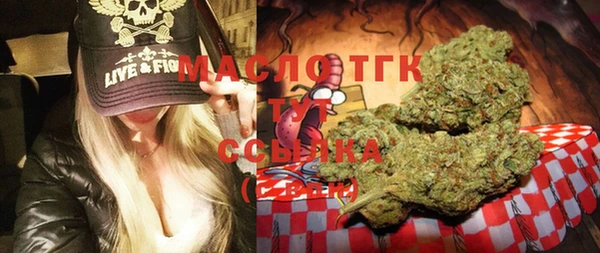 стаф Корсаков