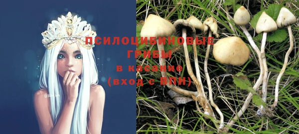стаф Корсаков