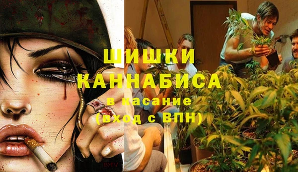 тгк Коряжма