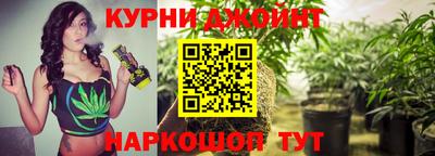 PSILOCYBIN Кулебаки