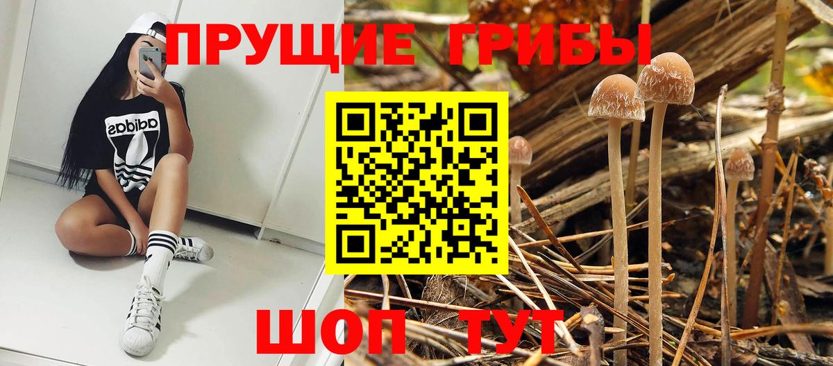 Галлюциногенные грибы GOLDEN TEACHER Ростов-на-Дону