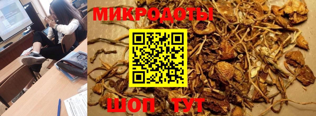 Ростов-на-Дону  Псилоцибиновые грибы мицелий  Вход с VPN 